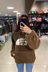 The North Face Yazılı Peluşlu Kapüşonlu Sweat-Kahve